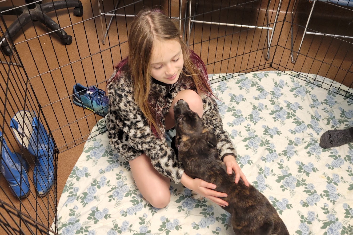 Cowley County Humane Society