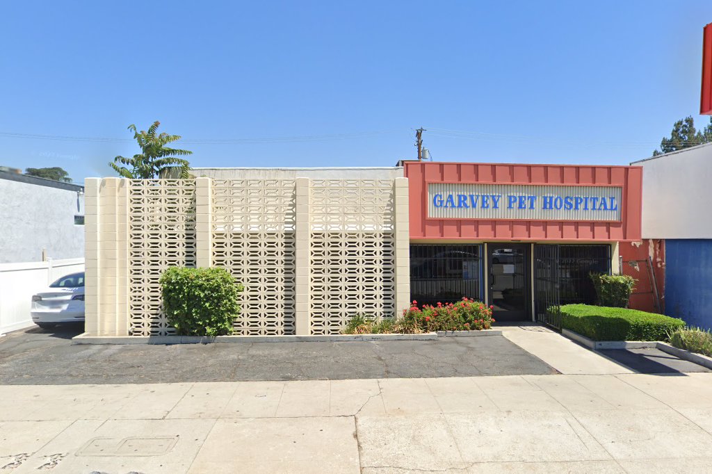 Animal Spay & Neuter Clinic