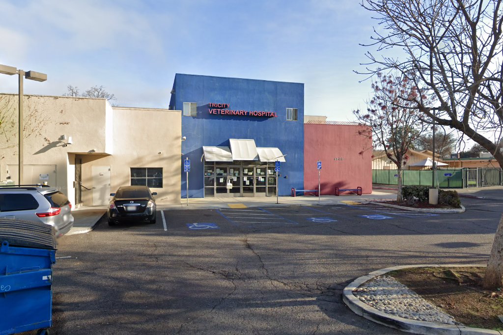 24 Hour Veterinary Hospital