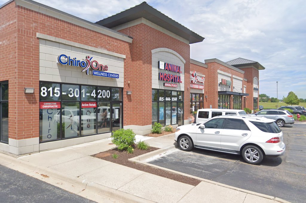 Animal Hospital of Randall Plaza