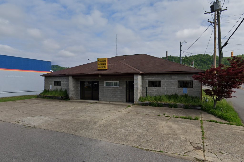 Academy Animal Hospital