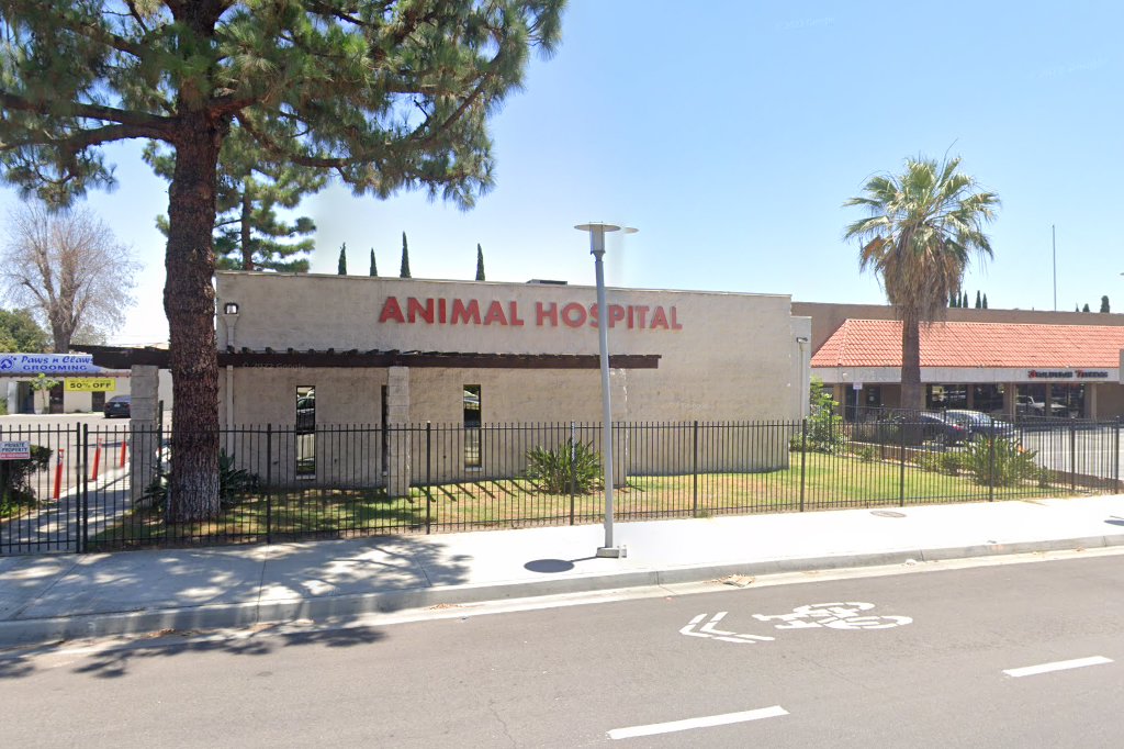 Community Companion Animal Hospital