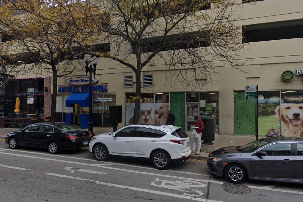 Near North Animal Hospital