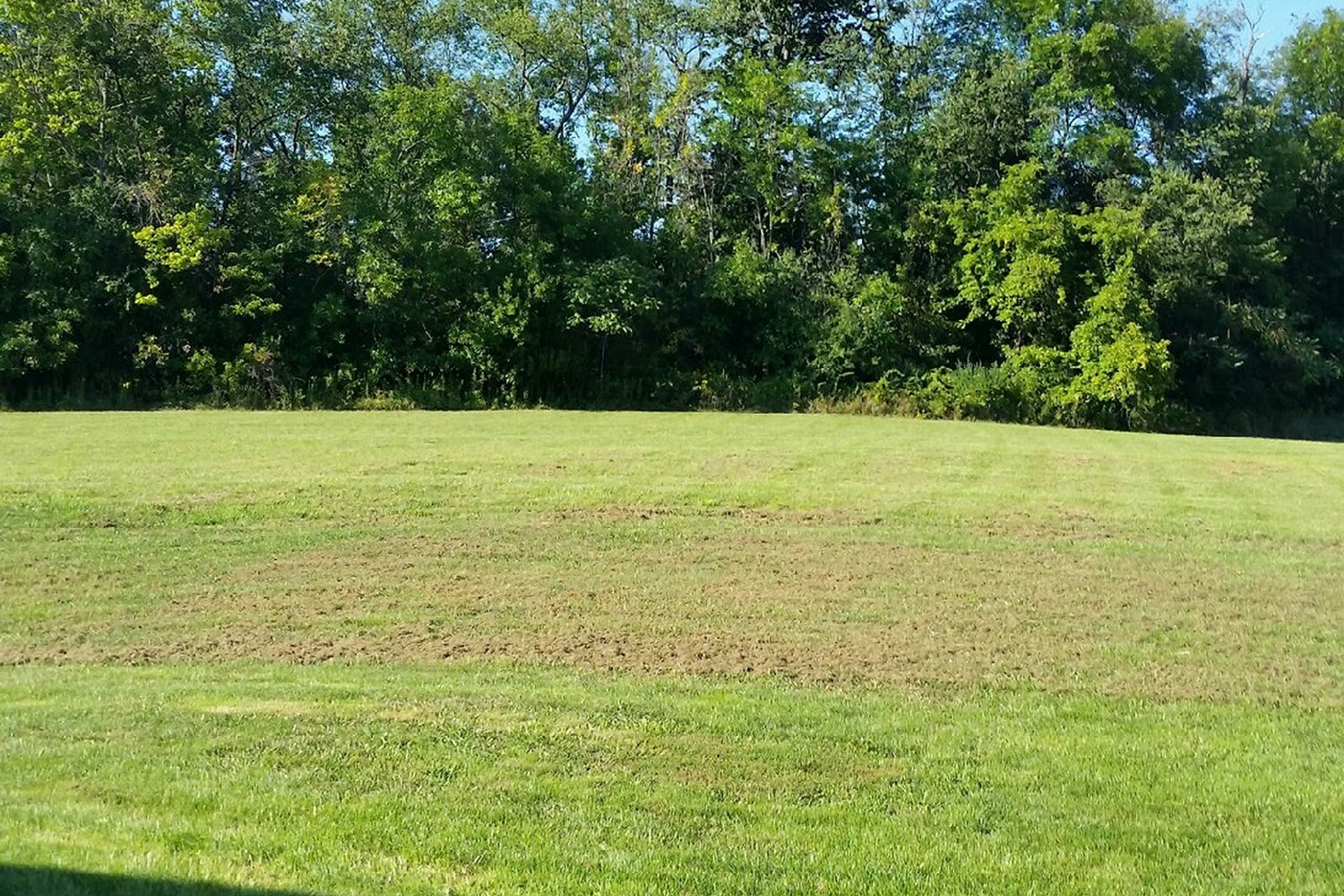 Ottawa Veterinary Hospital