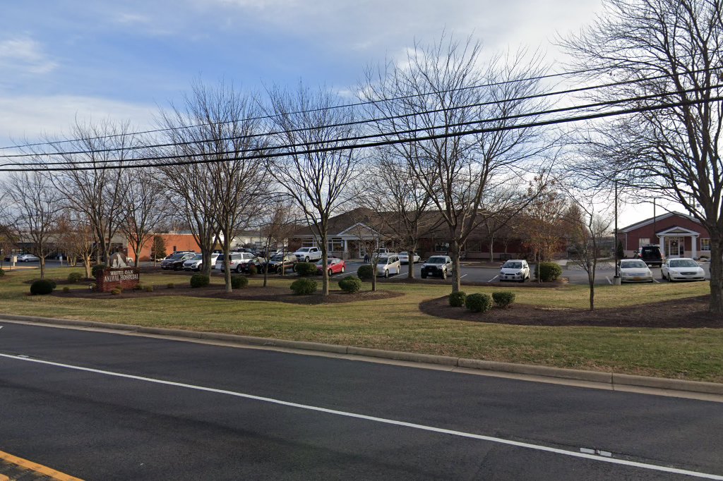 White Oak Animal Hospital