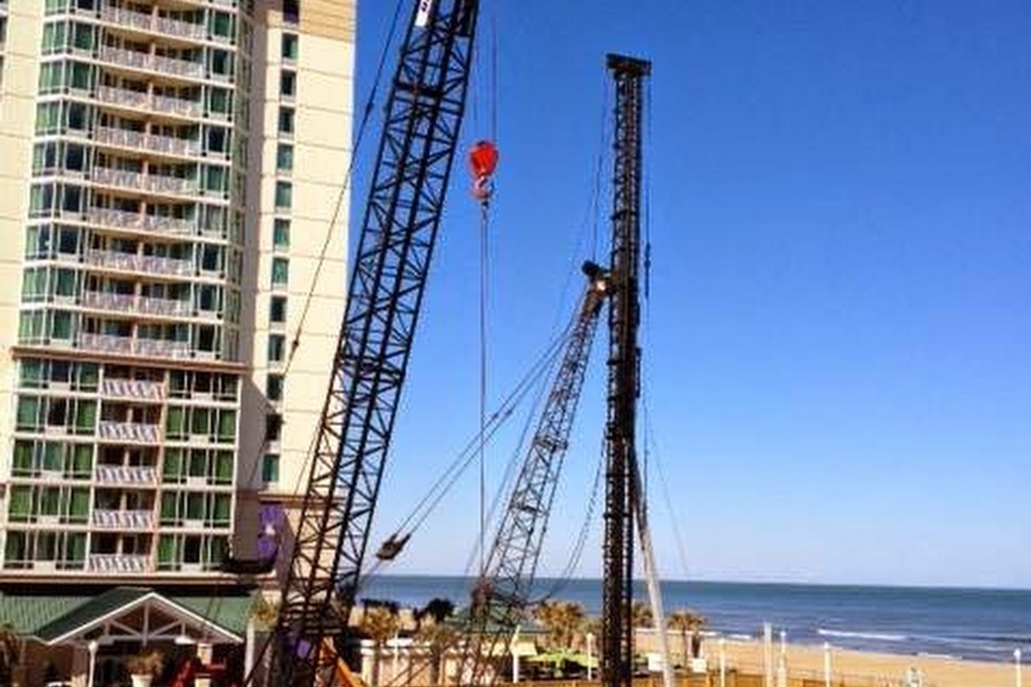 Chesapeake City Animal Bureau