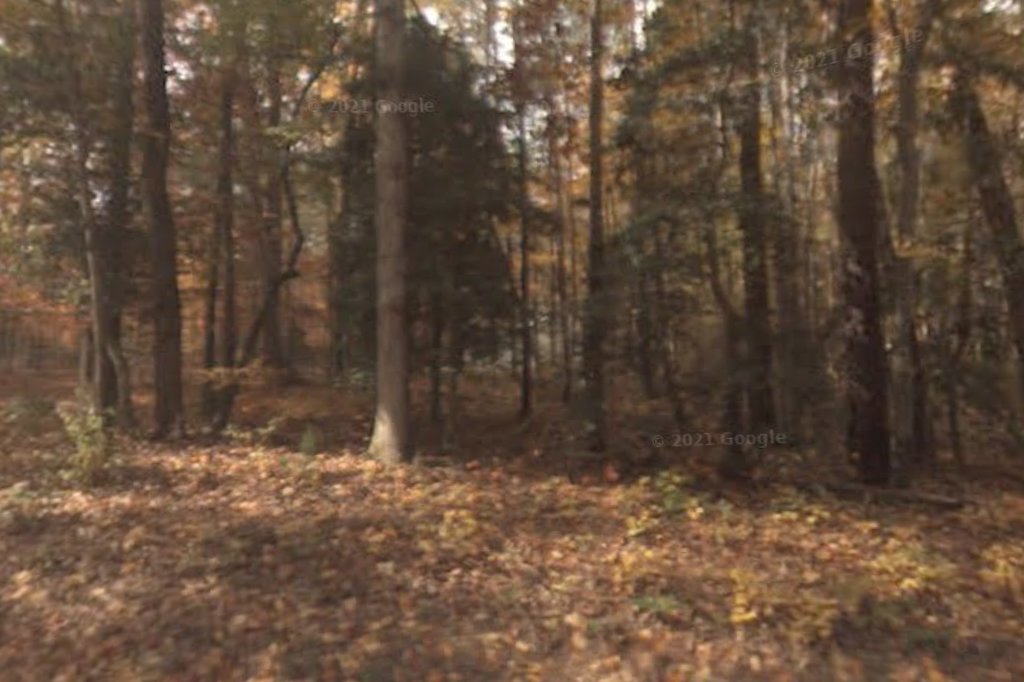 Lancaster County Animal Shelter