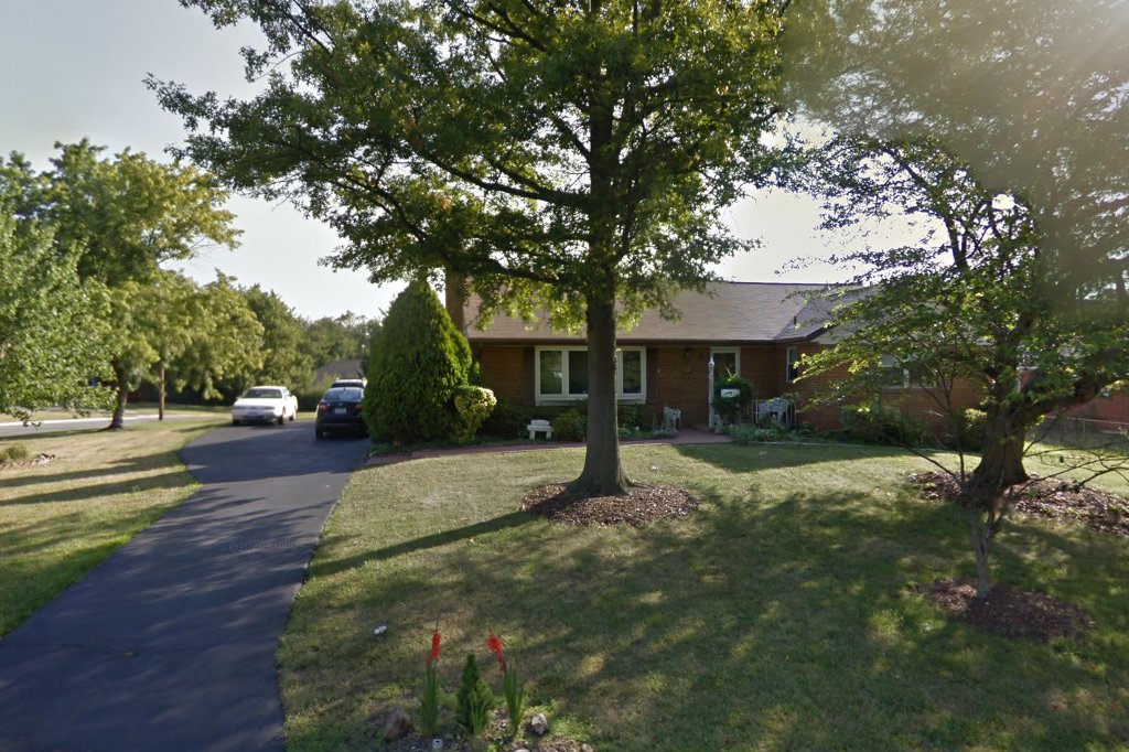 Ferrets R No 1 Shelter & Rescue