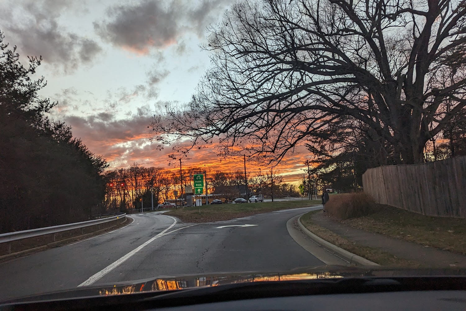 Obg Cocker Spaniel Rescue of Northern Virginia Oldies But Goodies