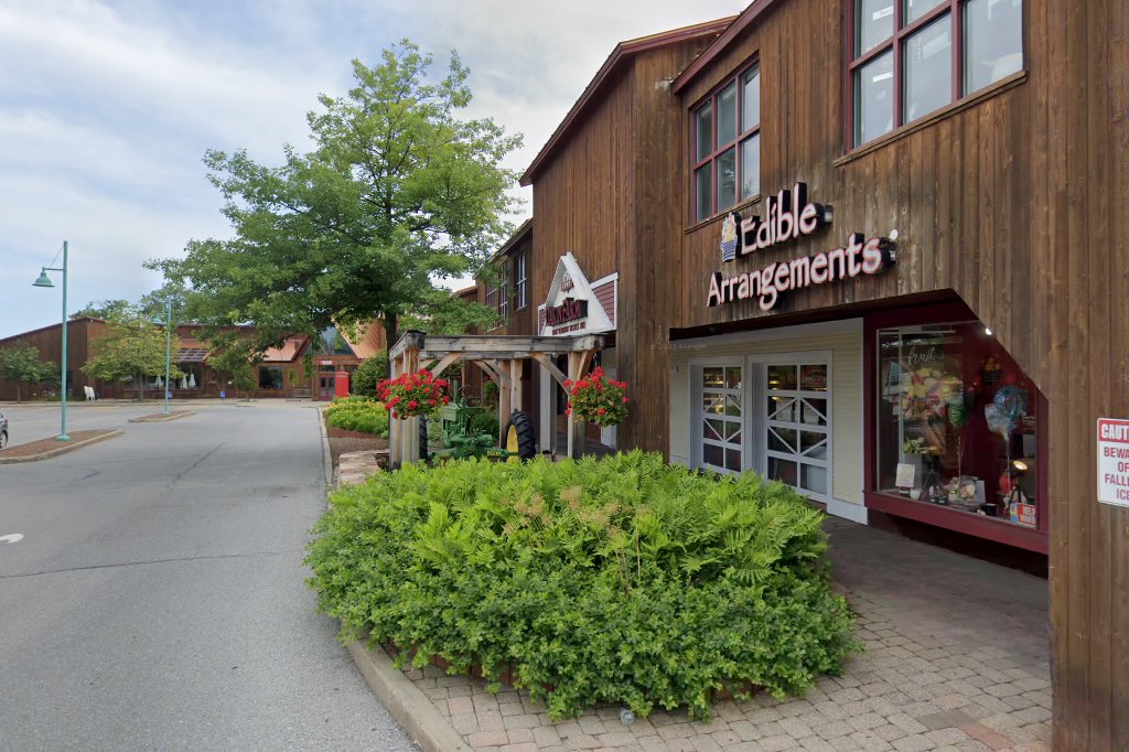 Aeolus Animal Hospital & Equine Center