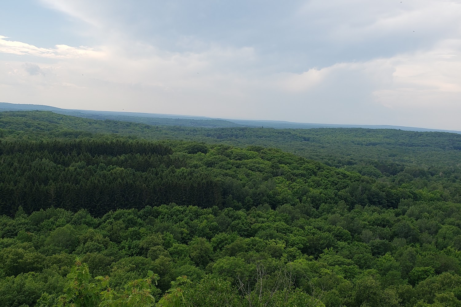 Hurley Area Animal Hospital