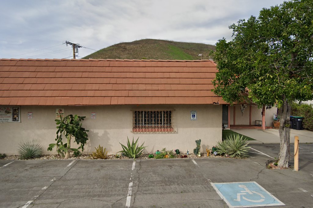 All Animals Veterinary Hospital