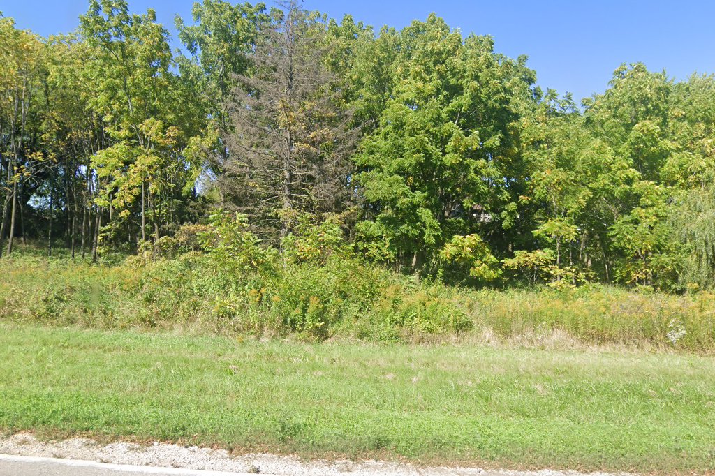 Fellow Mortals Wildlife Hospital