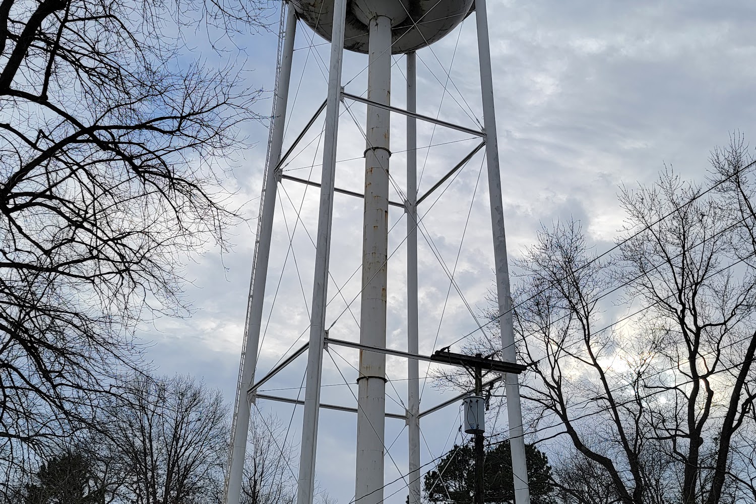 Pets Are Worth Saving, Inc.