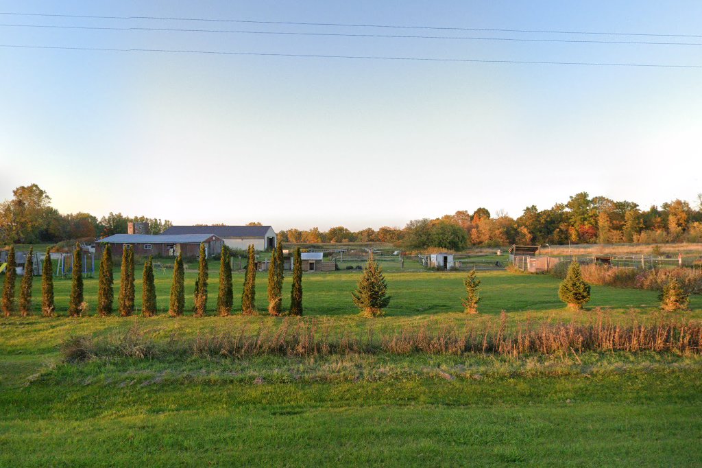 Wanekia Wanagi Domestic Animal