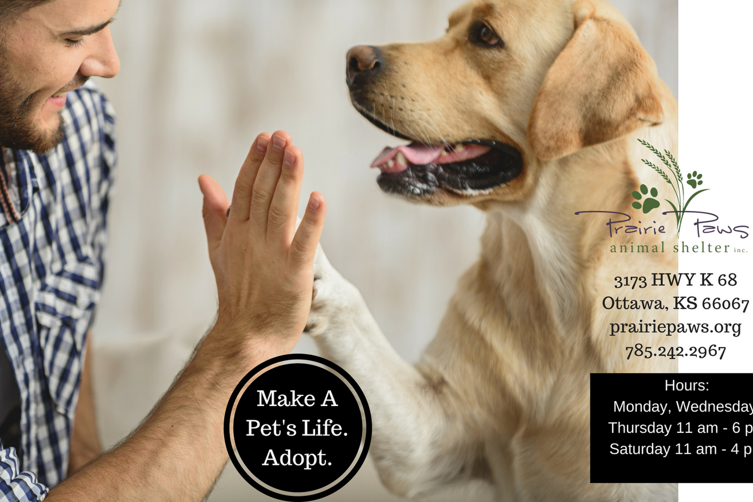 Prairie Paws Animal Shelter