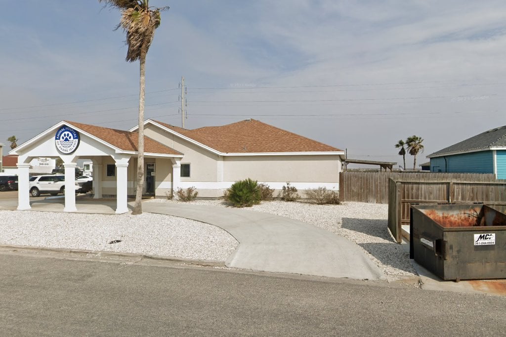 Animal Hospital of Padre Island