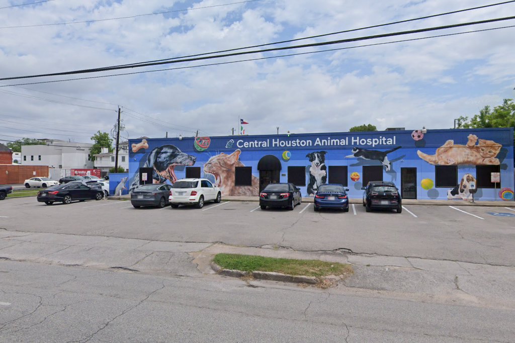 Central Houston Animal Hospital