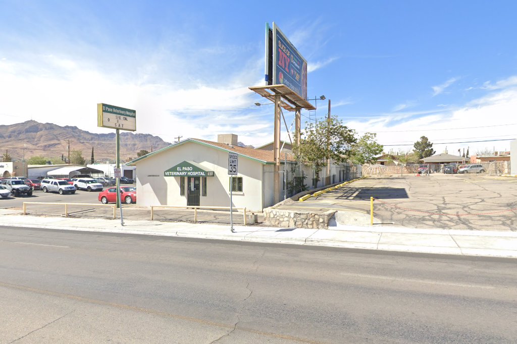 El Paso Veterinary Hospital