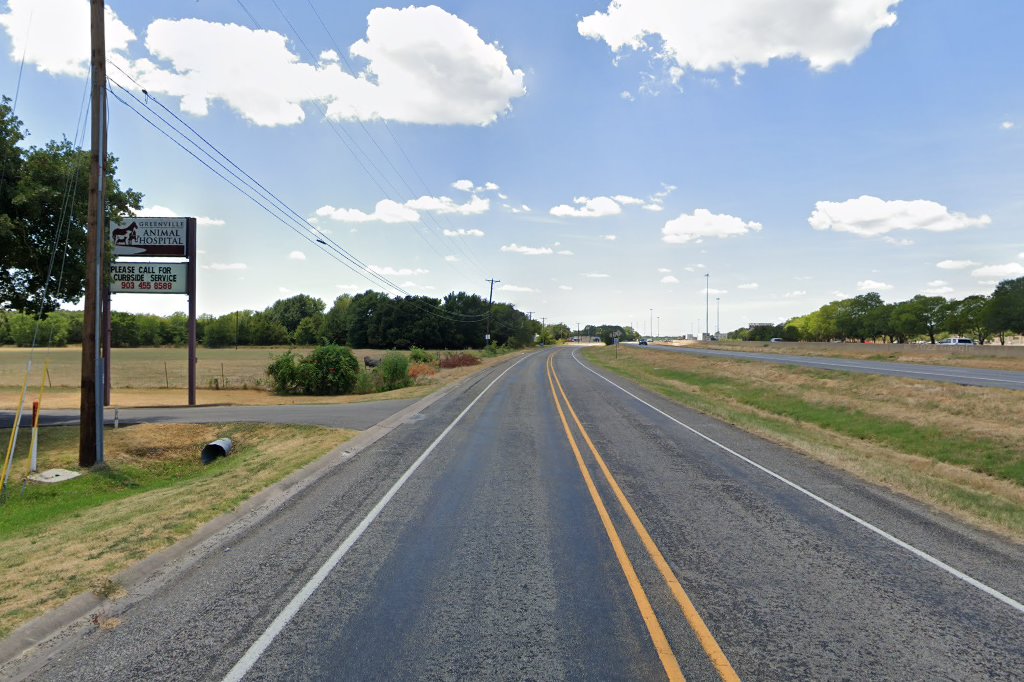 Greenville Animal Hospital