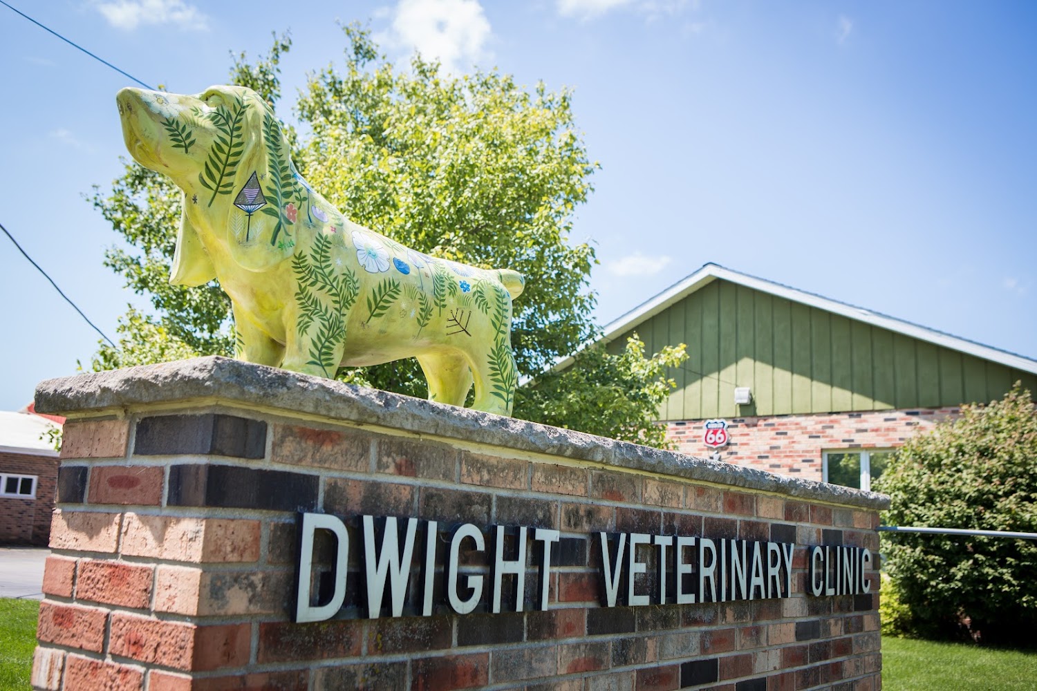 Dwight Pine Bluff Lakewood Animal Hospital