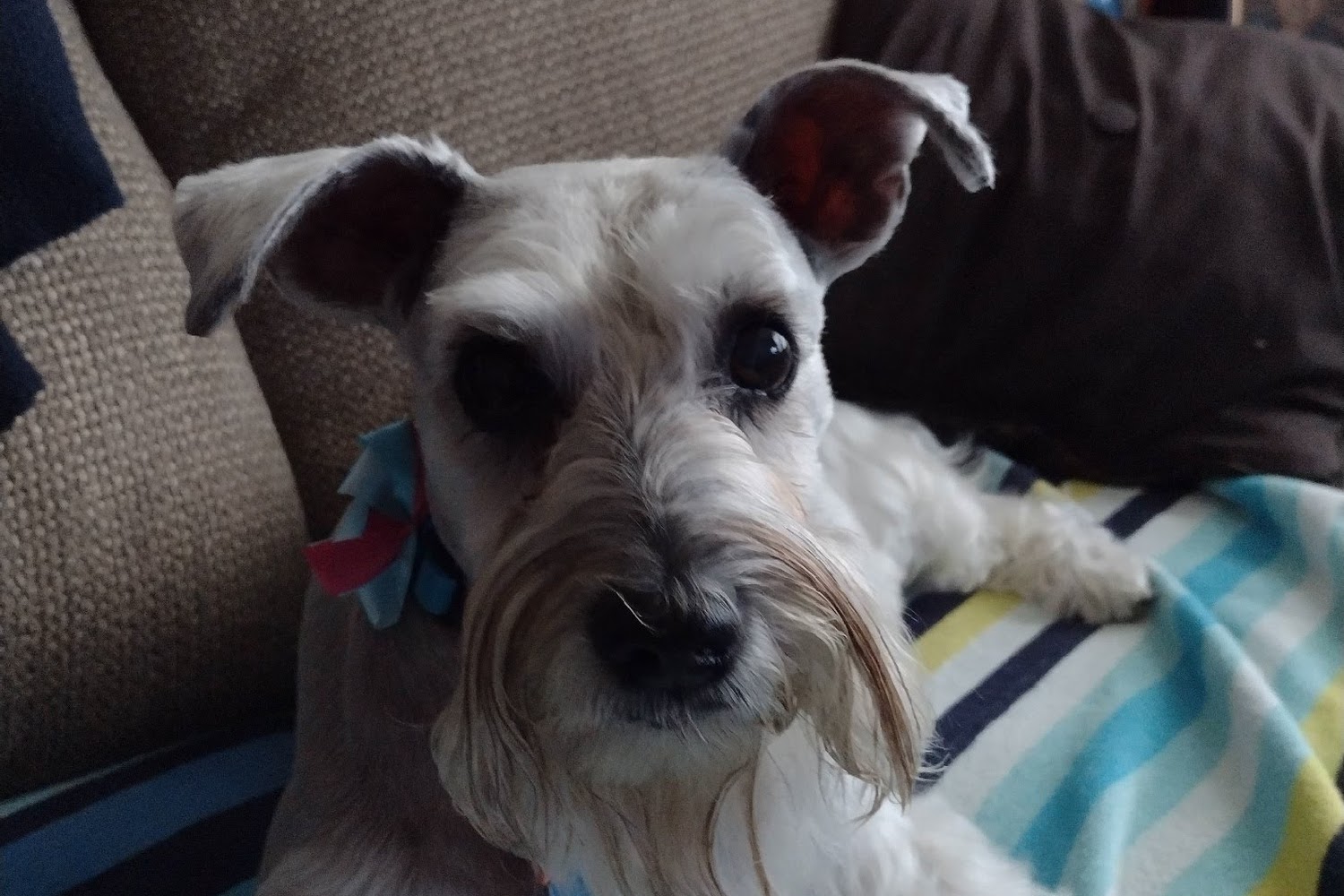 Kerr County Veterinary Hospital