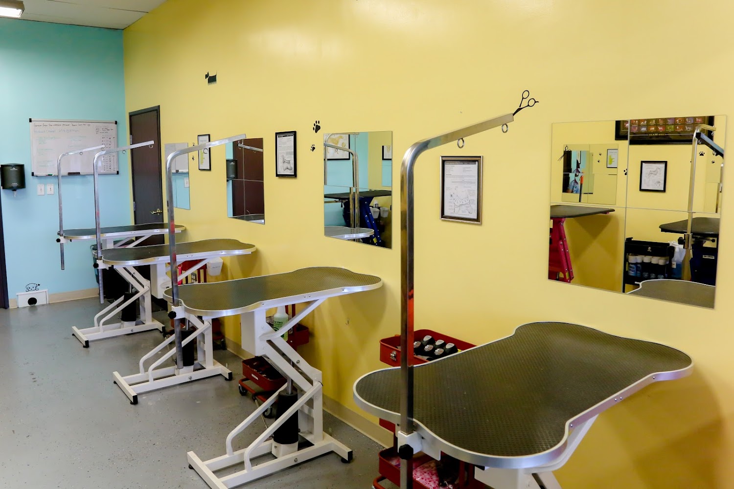 Best Friends Pet Hospital