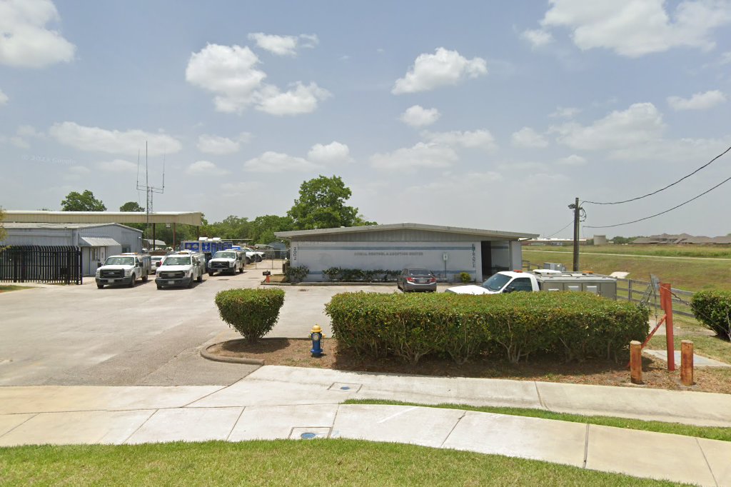 City-Pearland Animal Control