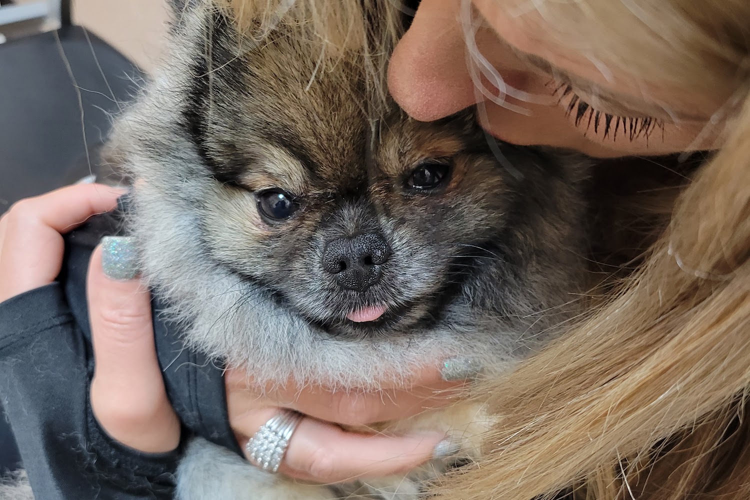 Crossroads Animal Hospital