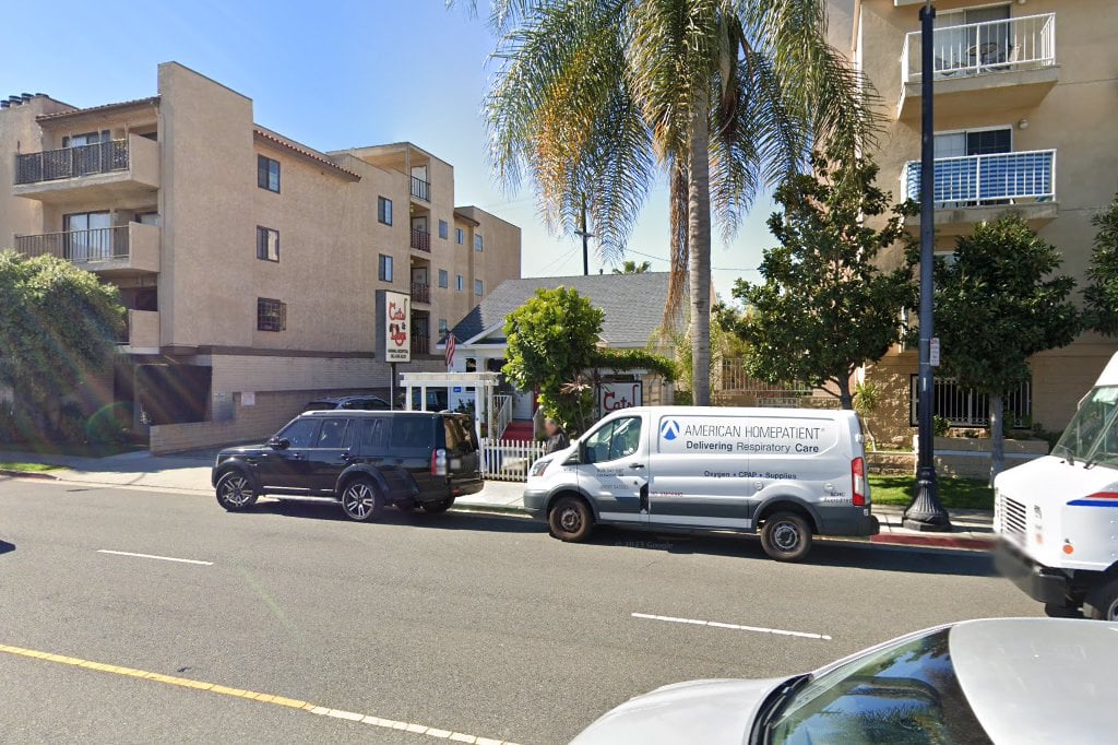 Cats & Dogs Animal Hospital