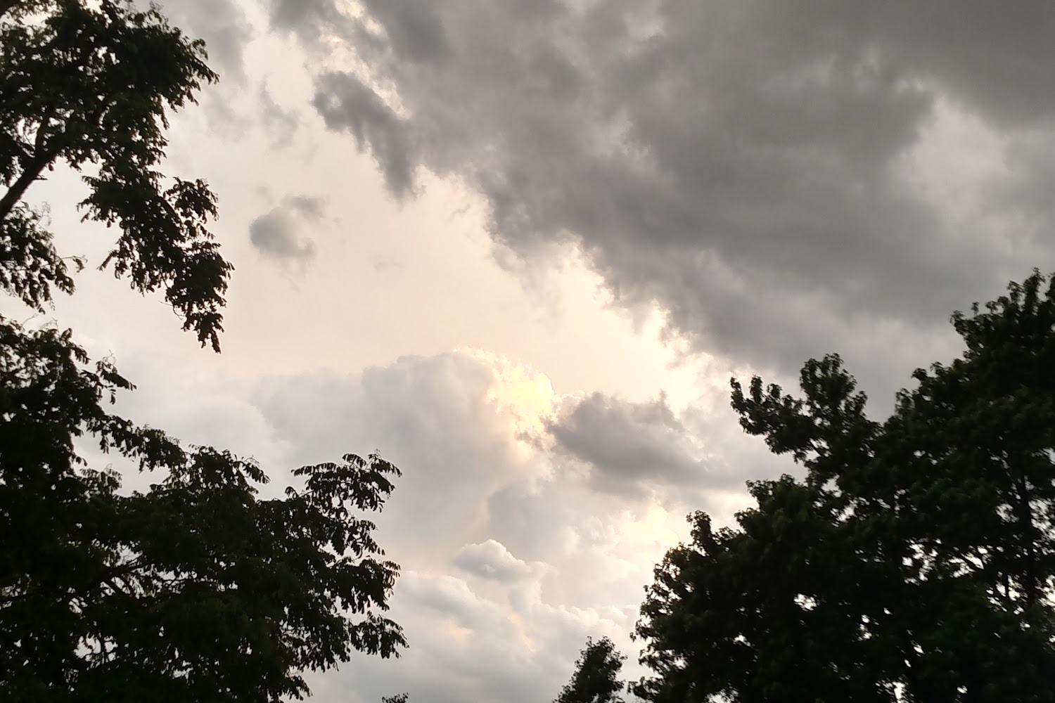 Okarche Veterinary Hospital