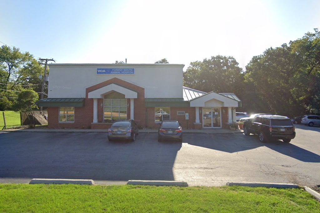 Forest South Animal Hospital