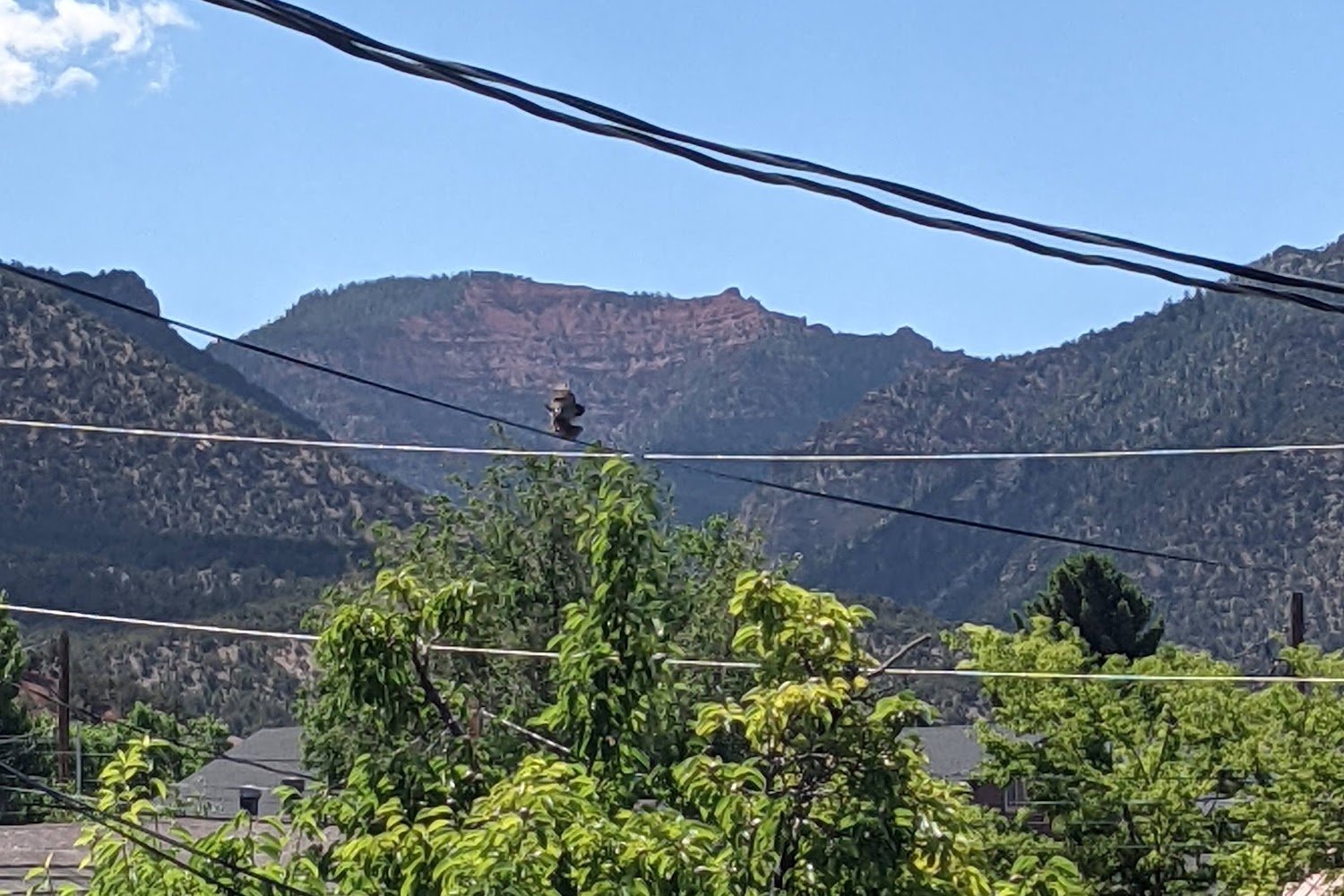 Parowan City Animal Shelter