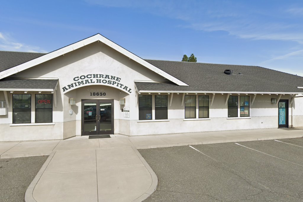 Cochrane Animal Hospital