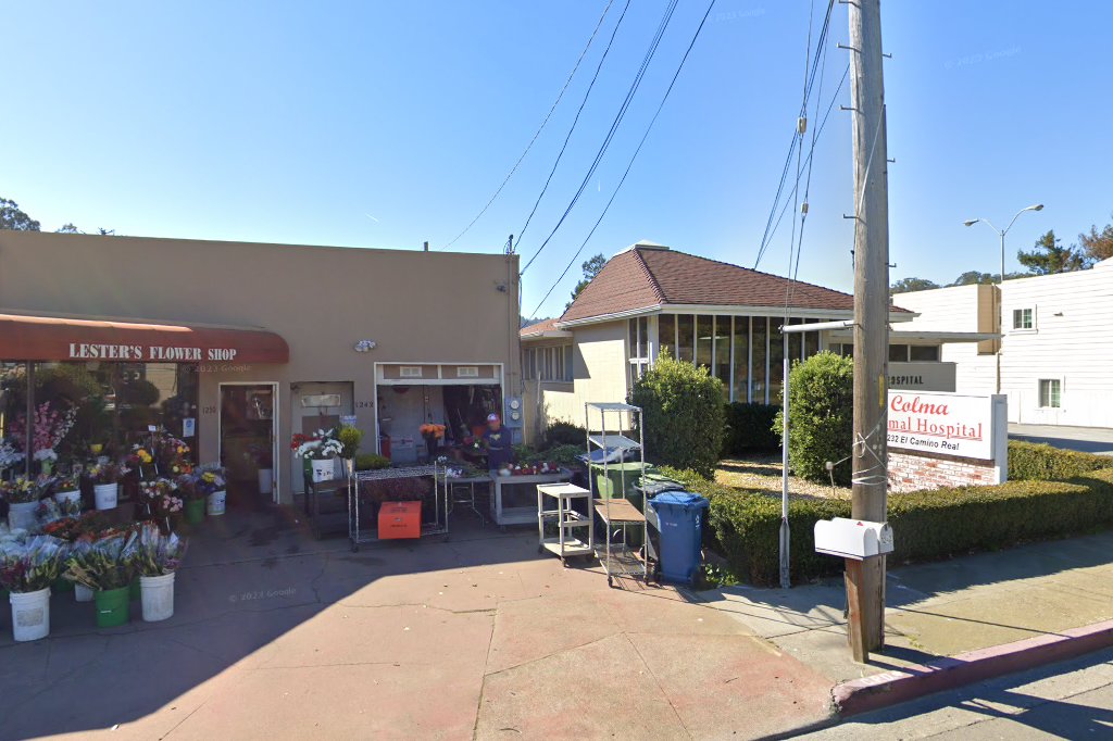 Colma Animal Hospital