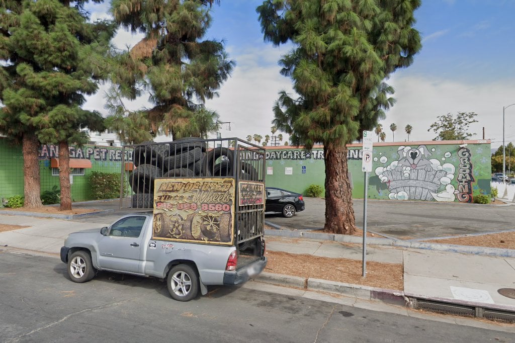 Companion Animal Hospital