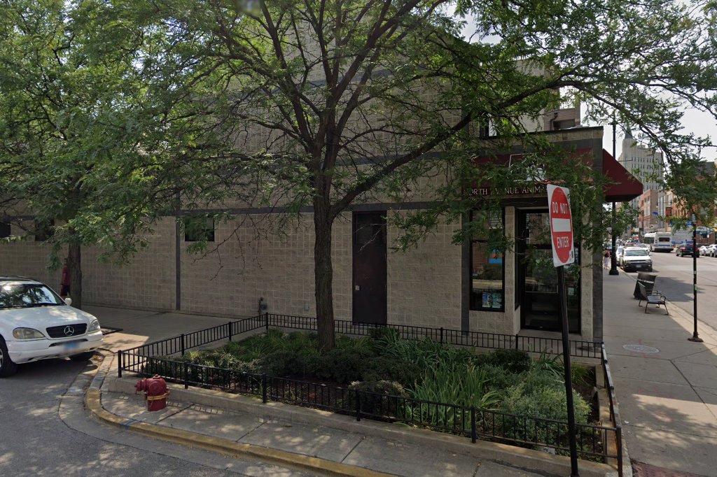 North Avenue Animal Hospital