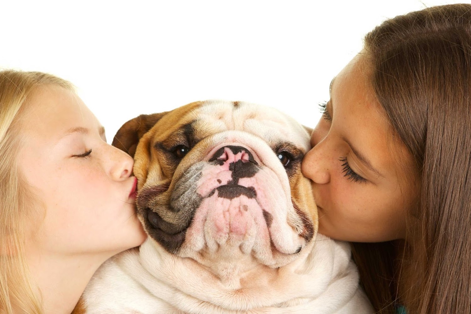 Rockwall Veterinary Hospital