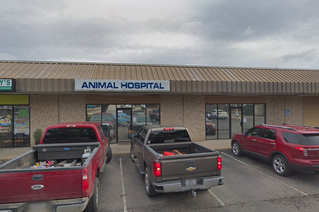 Animal Hospital of Georgetown