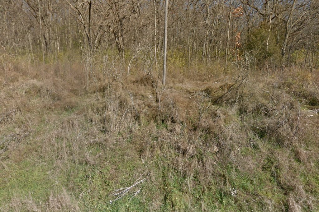 3rd Avenue Pet Hospital