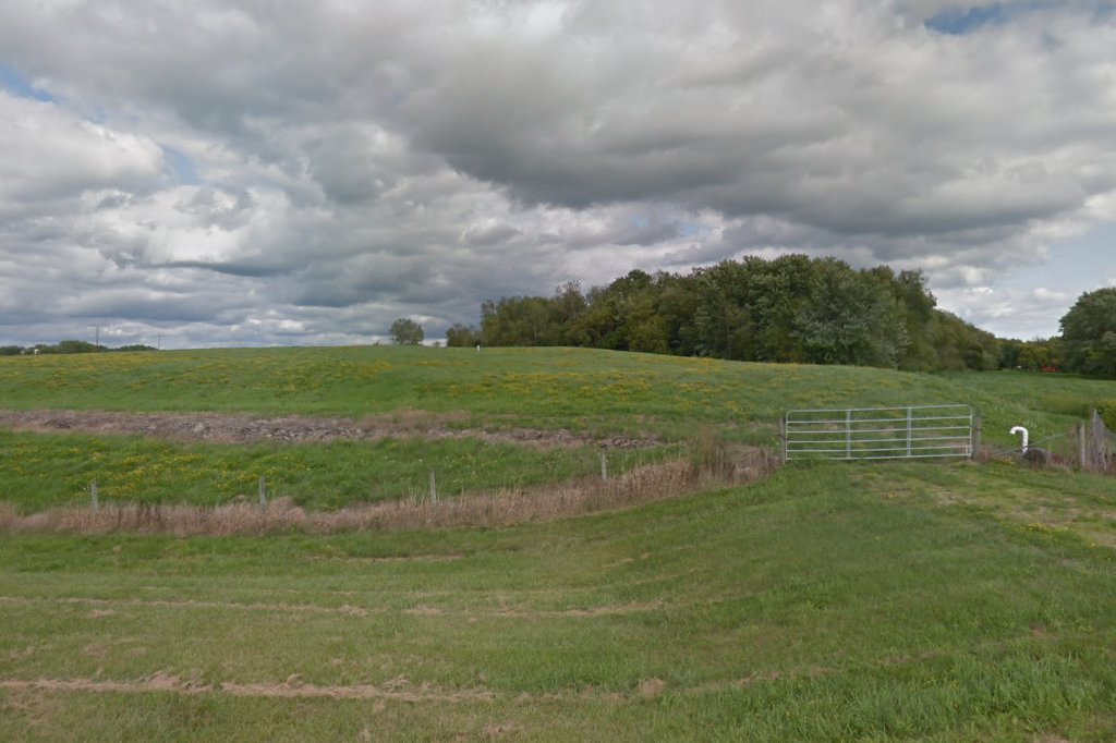 Mcdonald Animal Shelter