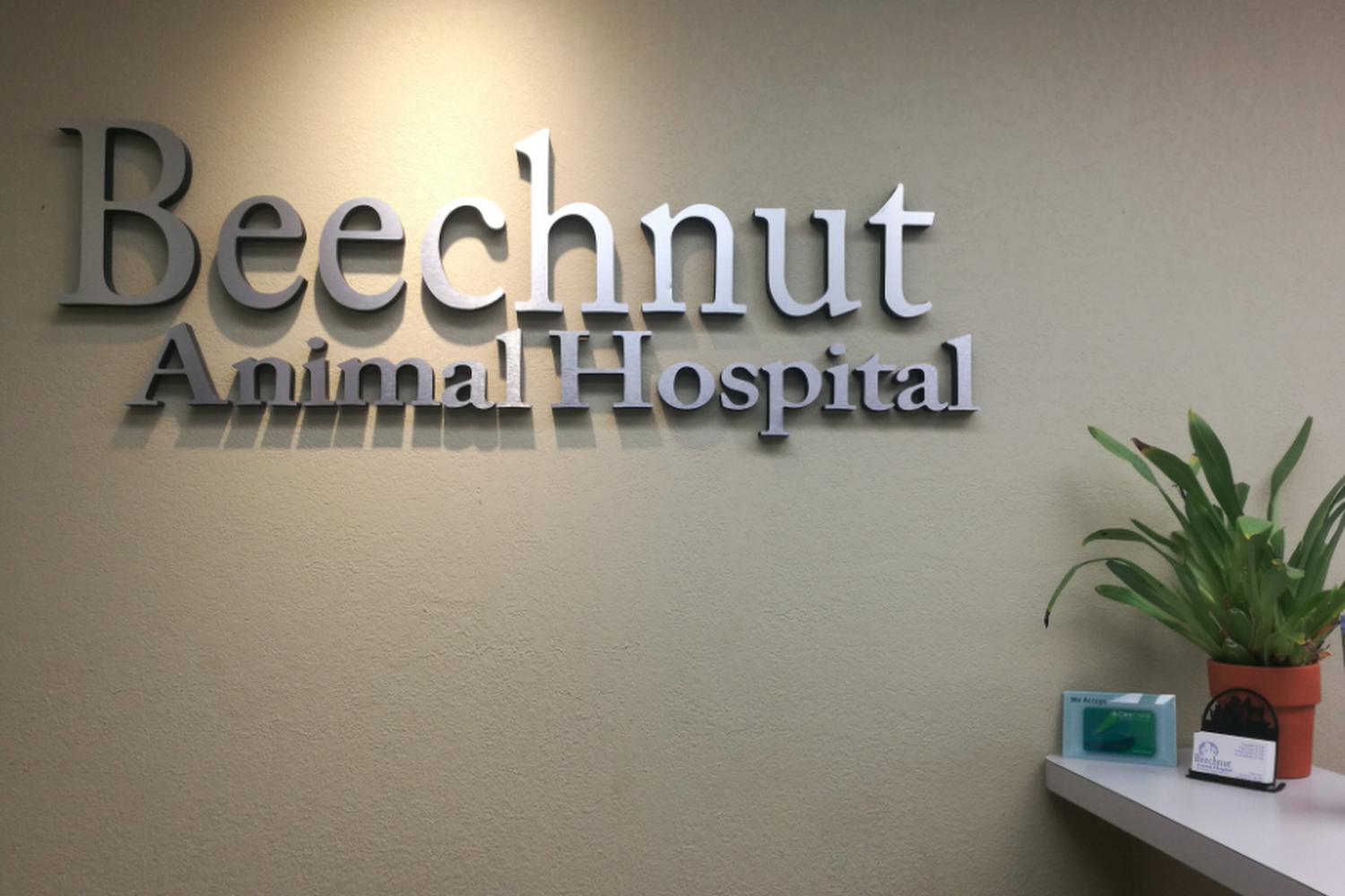 Beechnut Animal Hospital