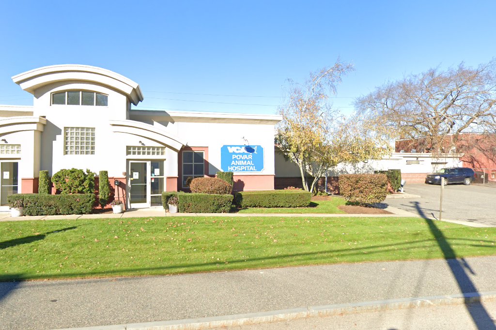 VCA Povar Animal Hospital