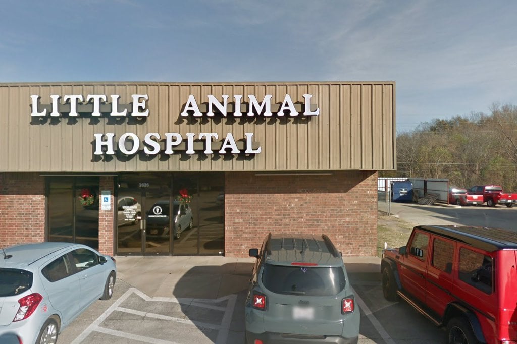 Little Animal Hospital