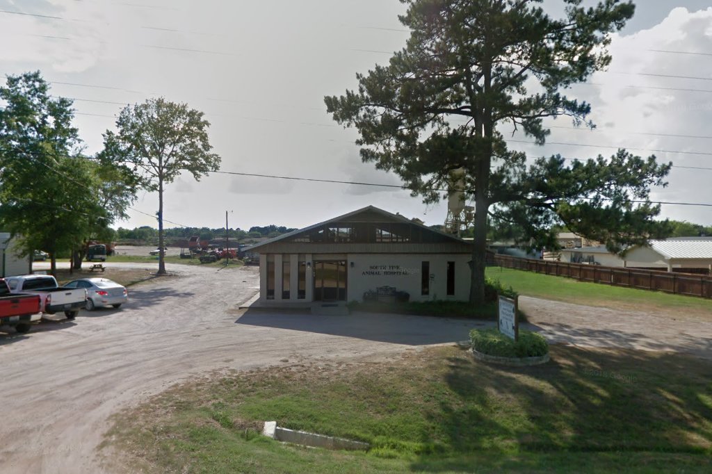 South Pine Animal Hospital