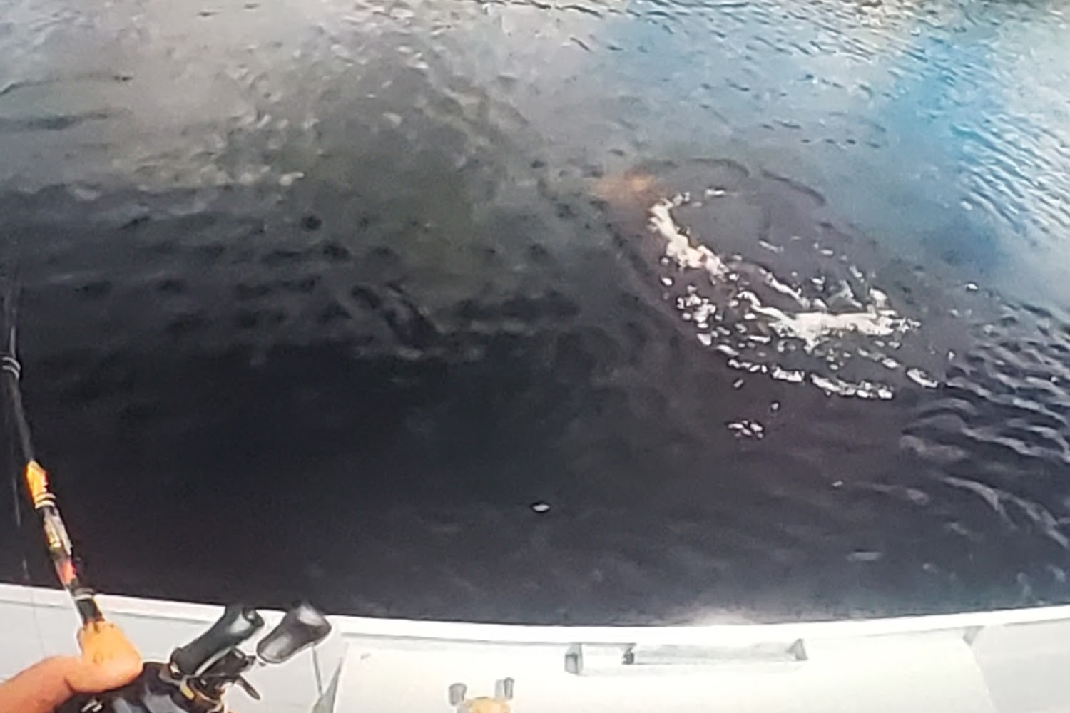 Castaway Farm Rescue