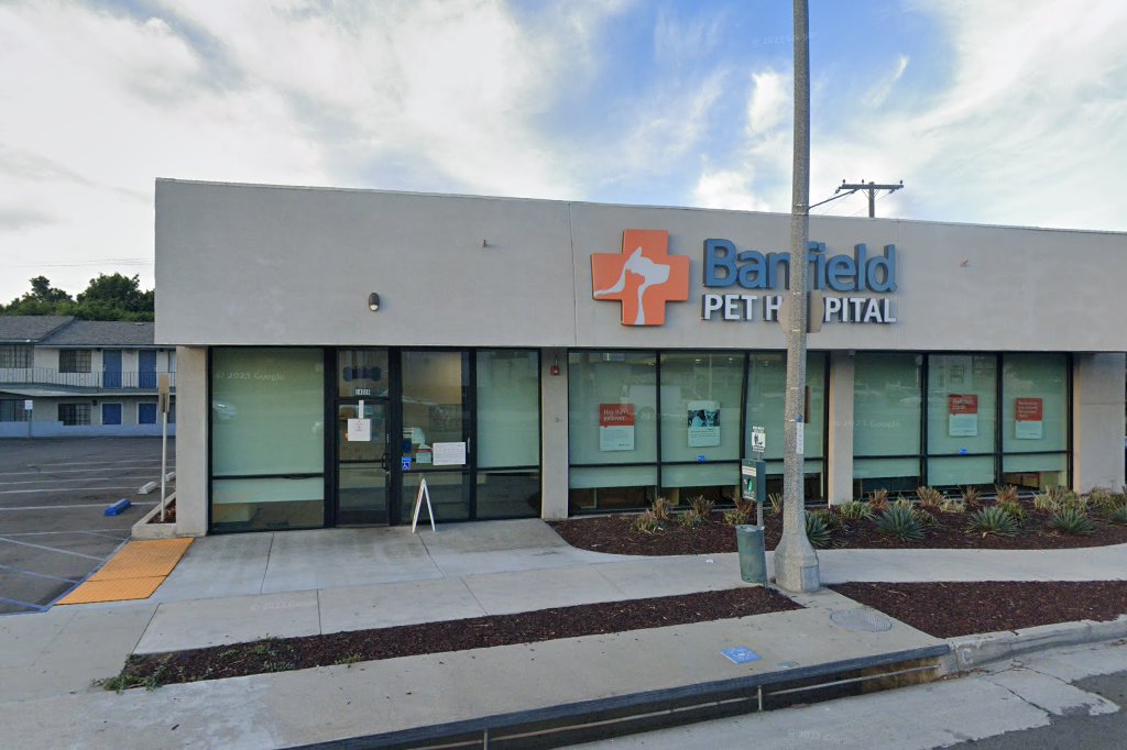 Macy & Thomas Veterinary Hospital