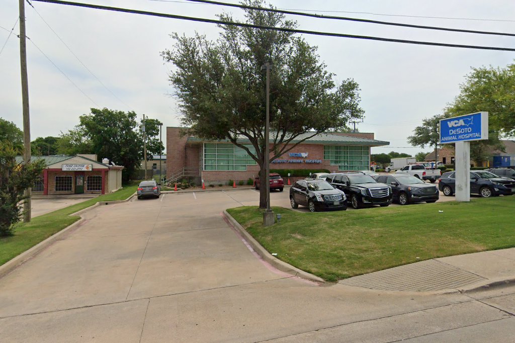 VCA DeSoto Animal Hospital