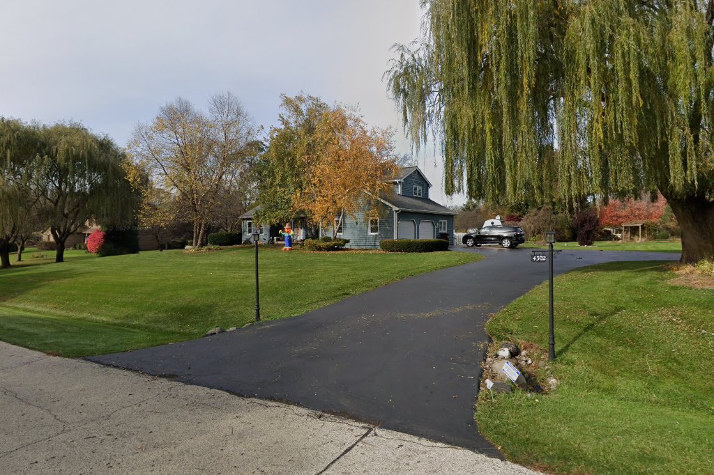 The Feline Rescue Network