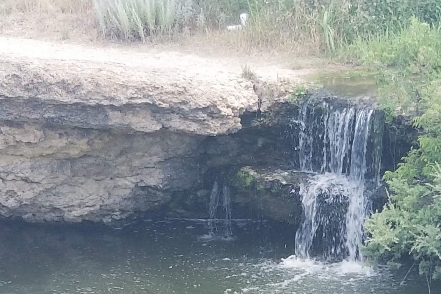 Big Spring Humane Society